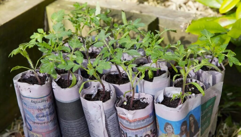 Vean kihla, et sa ei teadnud nr 3 ja nr 7 kohta? 8 vana aianõuannet, mis tegelikult töötavad